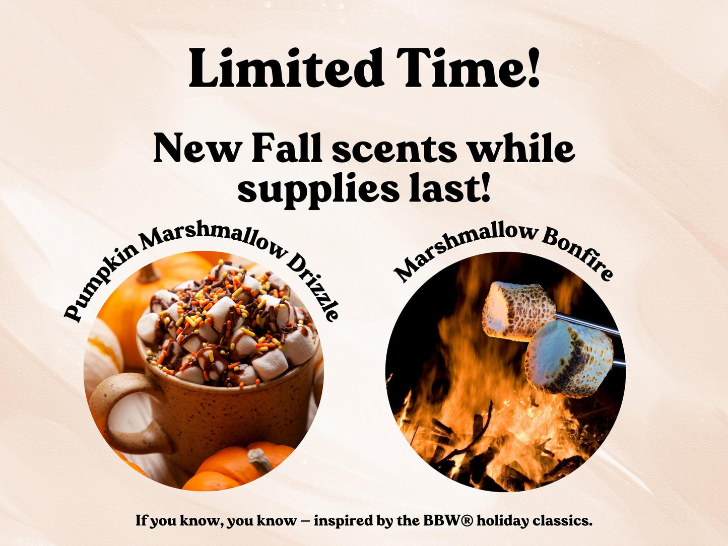 Passed Bar Exam Gift Passed Bar Exam Candle Gift For Passing Bar Bar Examination Future Lawyer Gift New Lawyer Gift Law Student