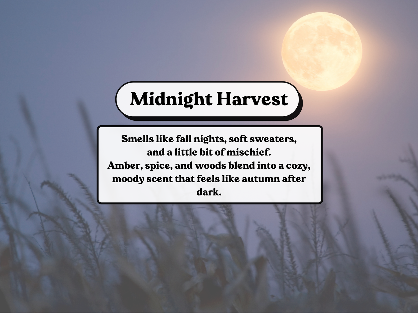 Midnight Harvest Soy Wax Melt